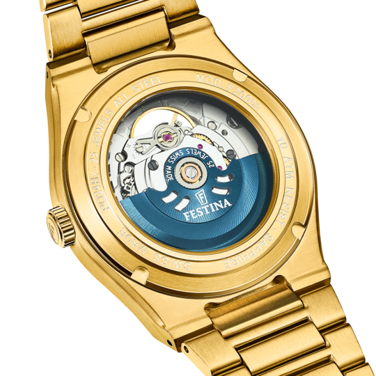 Festina RELOJ DE HOMBRE FESTINA SWISS MADE RIVÉ F20062/1 PLATEADO Limitado a 3 días