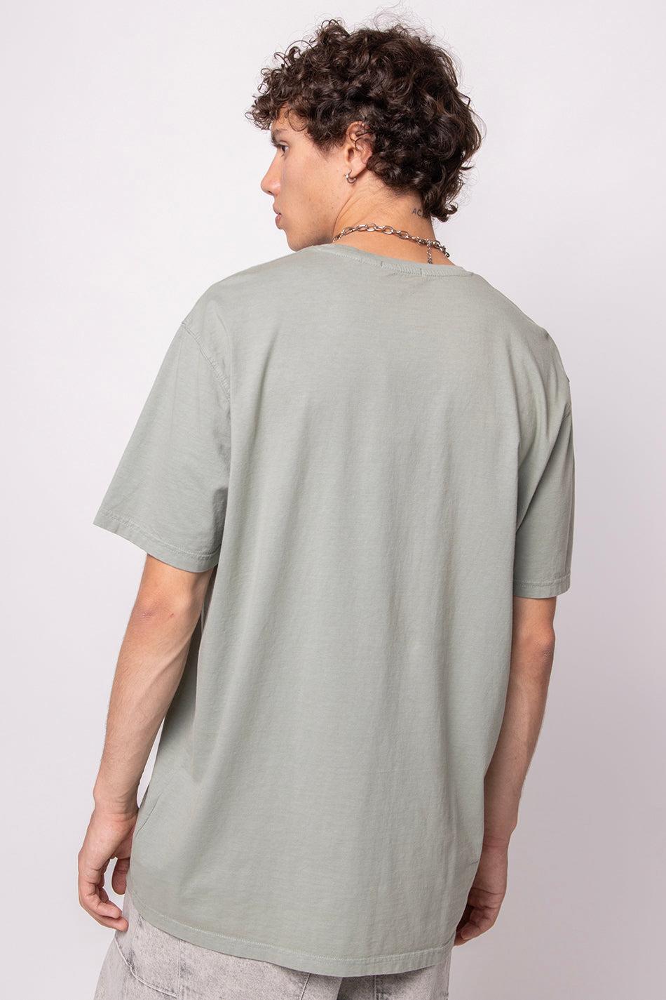 kaotiko Camiseta Washed Swans Green COMPRAR AHORA