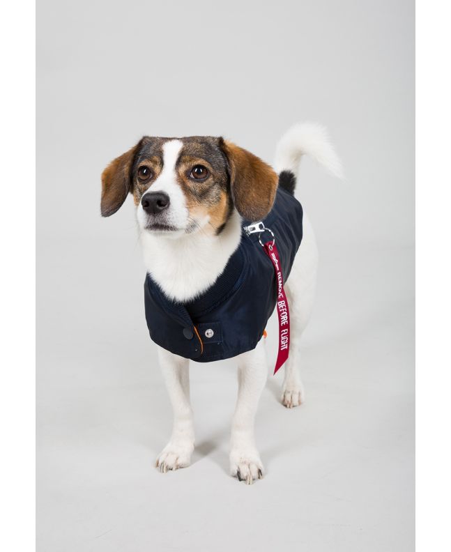 spezial madrid Alpha Industries Dog Nylon Flight Jacket Black Rebajas de fin de temporada