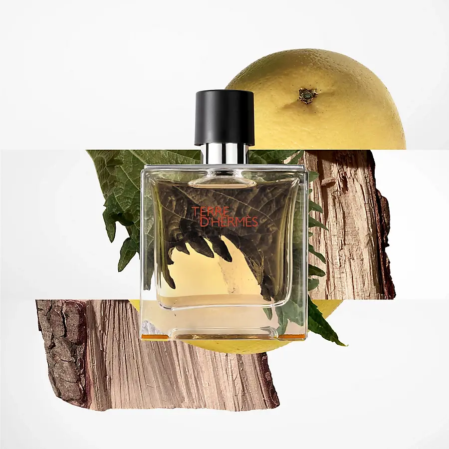 Hermès Terre d'Hermès Eau de toilette vaporizador y recarga - 155 ml Los más vendidos