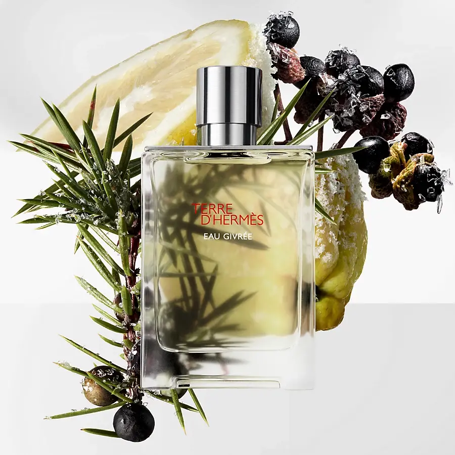 Hermès Terre d'Hermès Eau Givrée Recarga de Eau de parfum - 200 ml Tienda