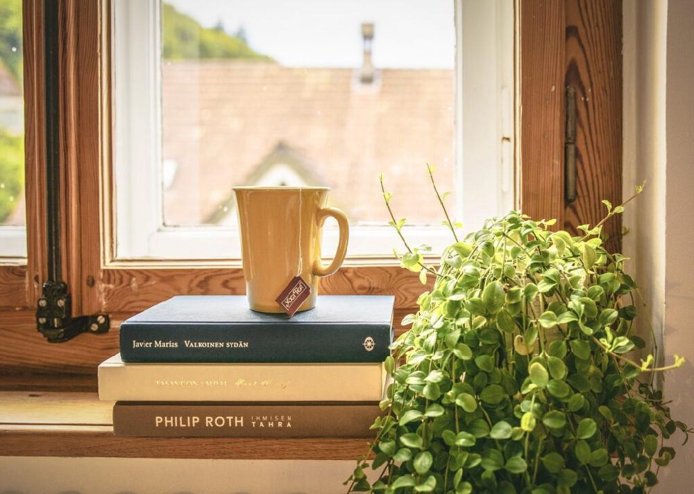Mimub Ideas de decoración con plantas para el salón Oferta exclusiva