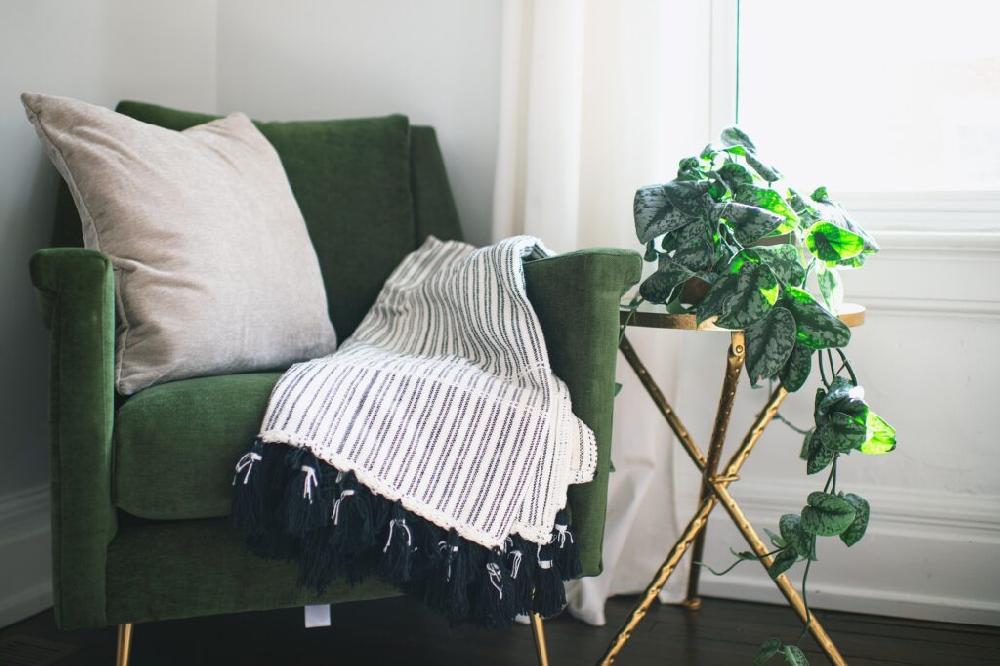 Mimub Ideas de decoración con plantas para el salón Oferta exclusiva