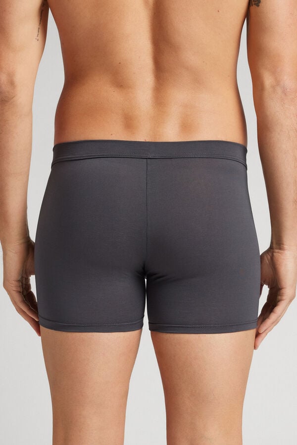 Intimissimi Bóxer de Algodón Premium