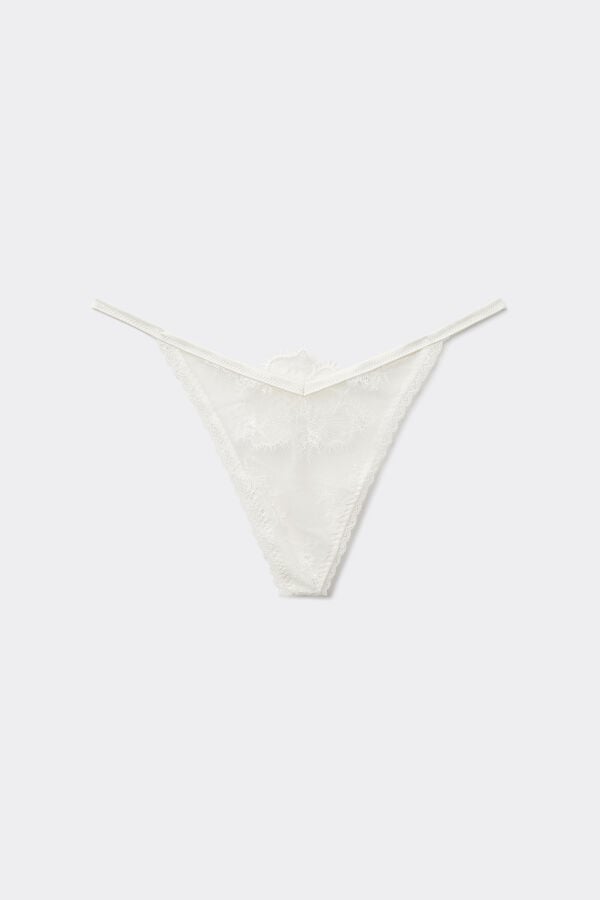 Intimissimi Tanga de Hilo Estilo Años 80 Glisten in the Light Ahorra y exporta