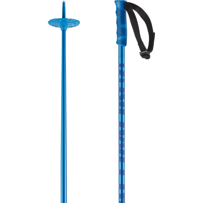 Salomon Hacker - Bastones de Esquí alpino unisex
