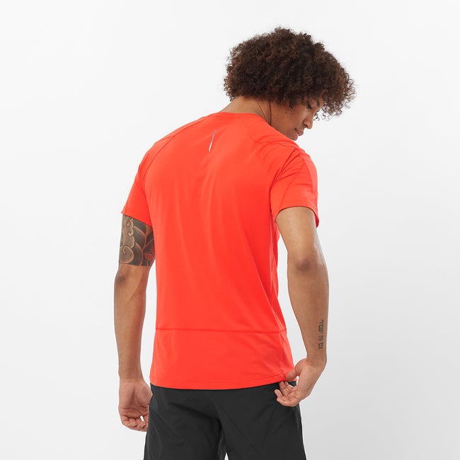 Salomon Cross Run - Camiseta de manga corta para hombre Solo hoy